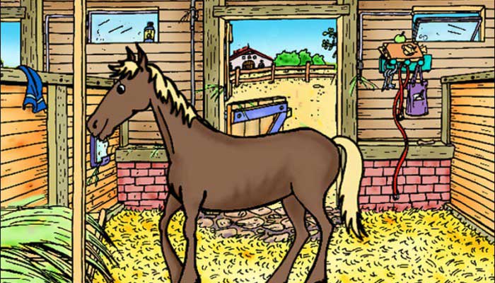 Pferd--Pony-Mein-Pferdehof-3