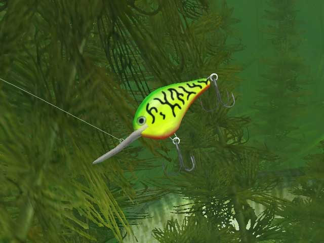 Rapala-Pro-Fishing-2
